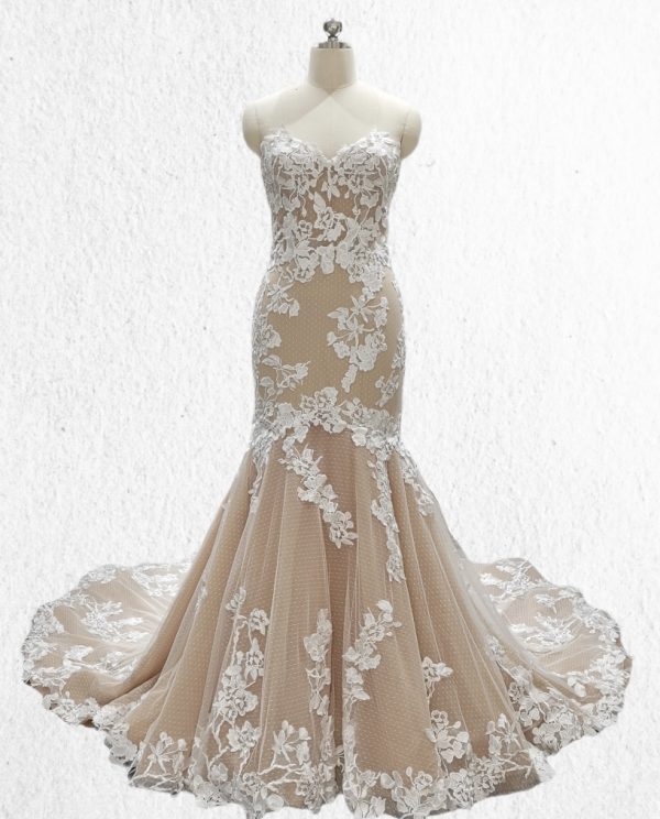 Fitted mermaid lace gown